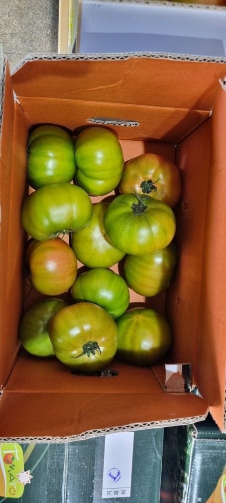 🍅대저짭짤이 1박스 16000원🍅