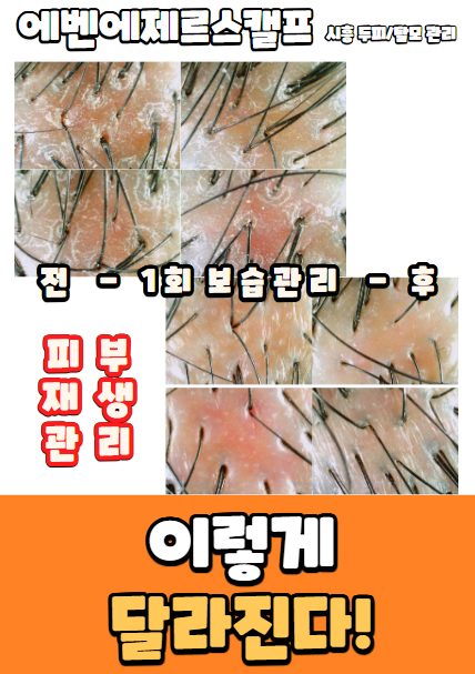첫방문50%