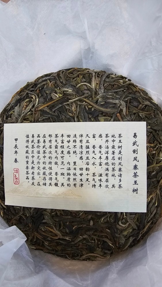 클래식 티 picture 7