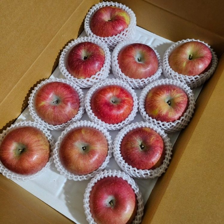 24년 햇 부사🍎