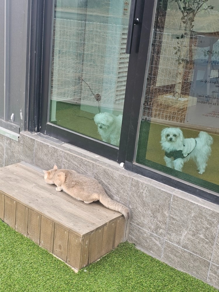 조댕이네 picture 7