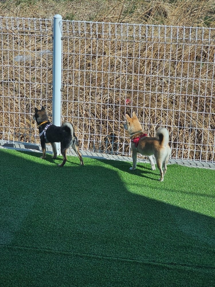 조댕이네 picture 1