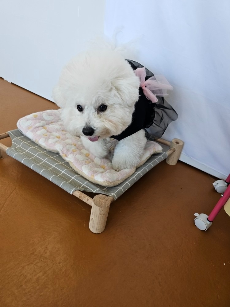 조댕이네 picture 6