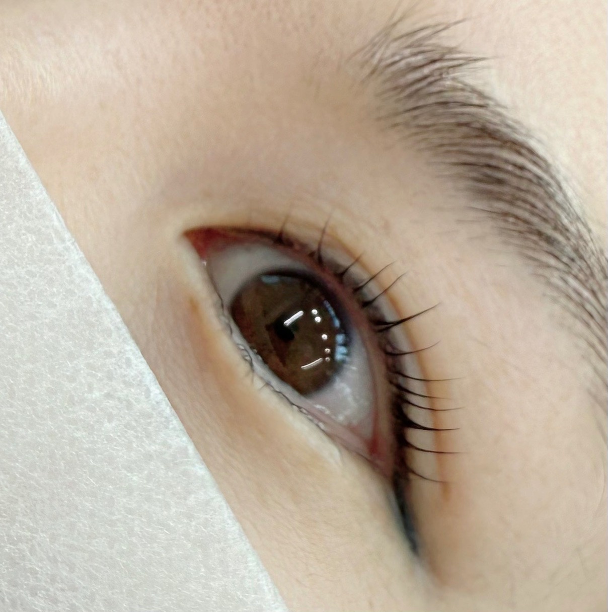 더꾸밈 picture 3