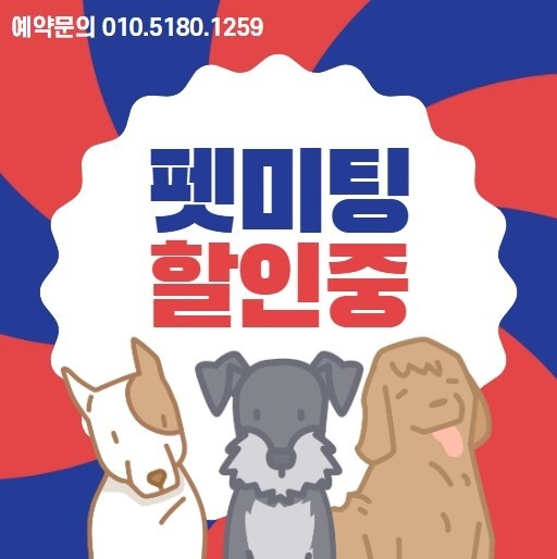 펫미팅 picture 2