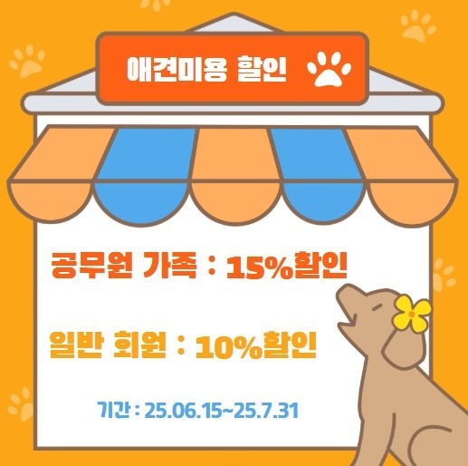 펫미팅 picture 3
