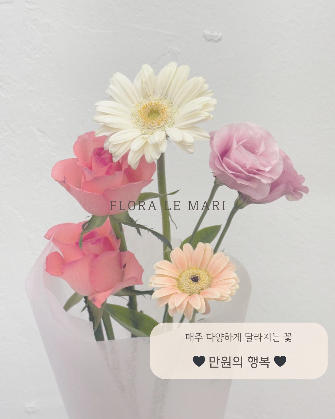 매주 월요일, 수요일마다 열리는 이벤트 -!
