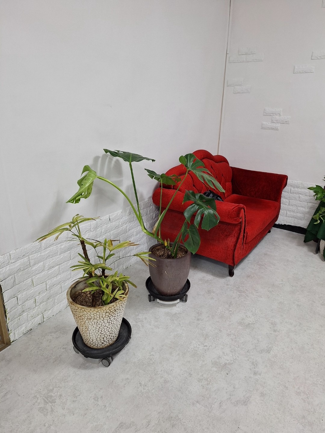 약손수기 picture 1