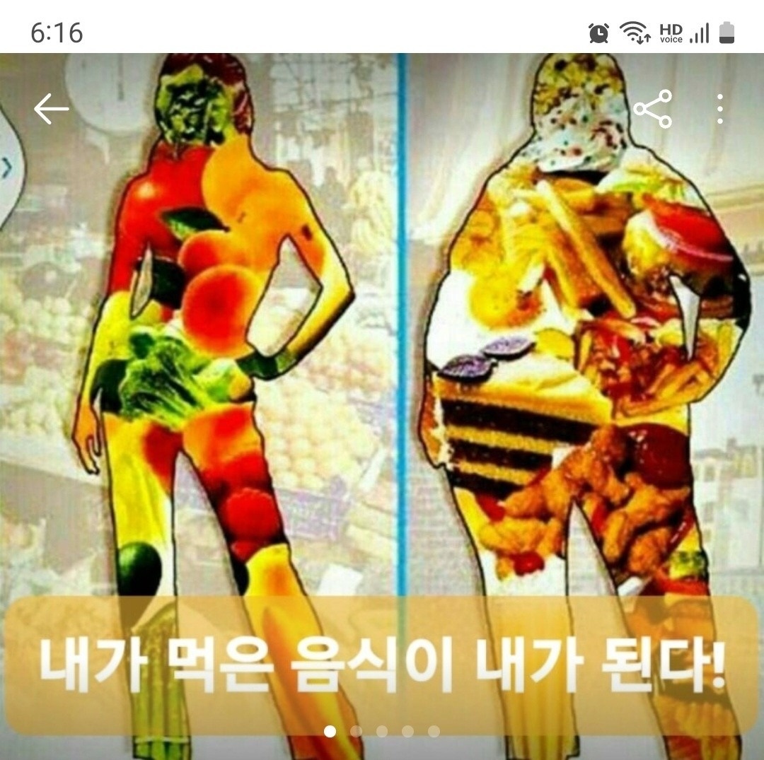 요요없이  건강하게 살빼고 싶으신분 소식 (3)