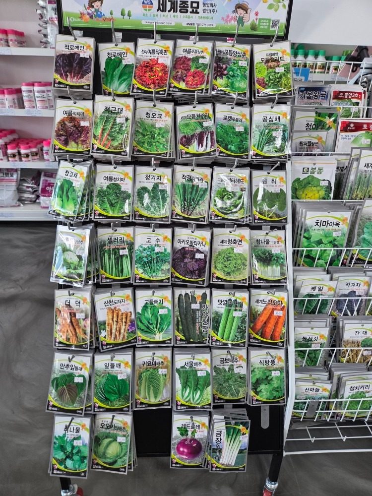 여러가지 종자 씨앗 보고가셔요😁🌱🌱🌱