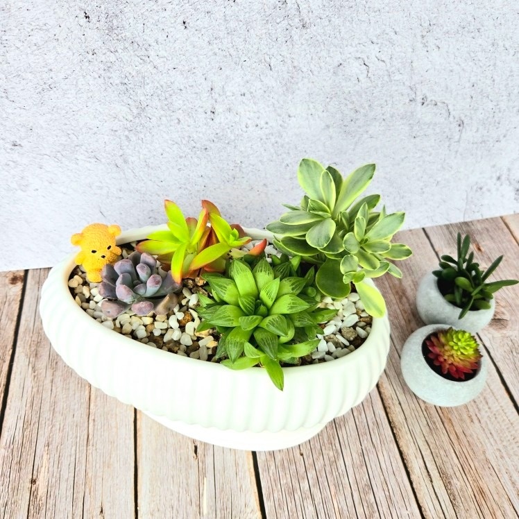 가화플라워 picture 9