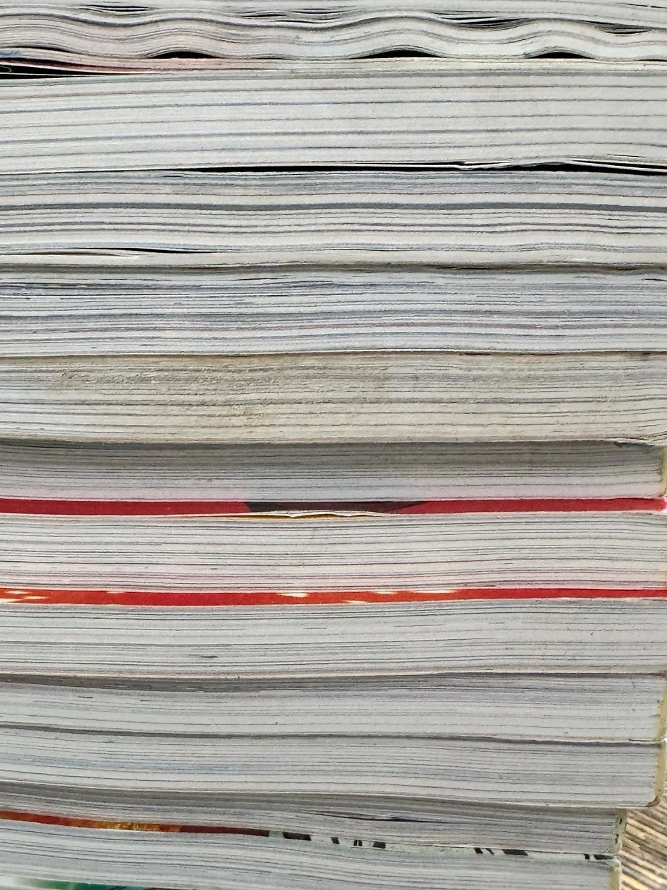 헌책에 생기는 책곰팡이, 왜 위험할까요? | 충청남도 아산시 탕정면 | 중고도서판매 | 당근 비즈 소식