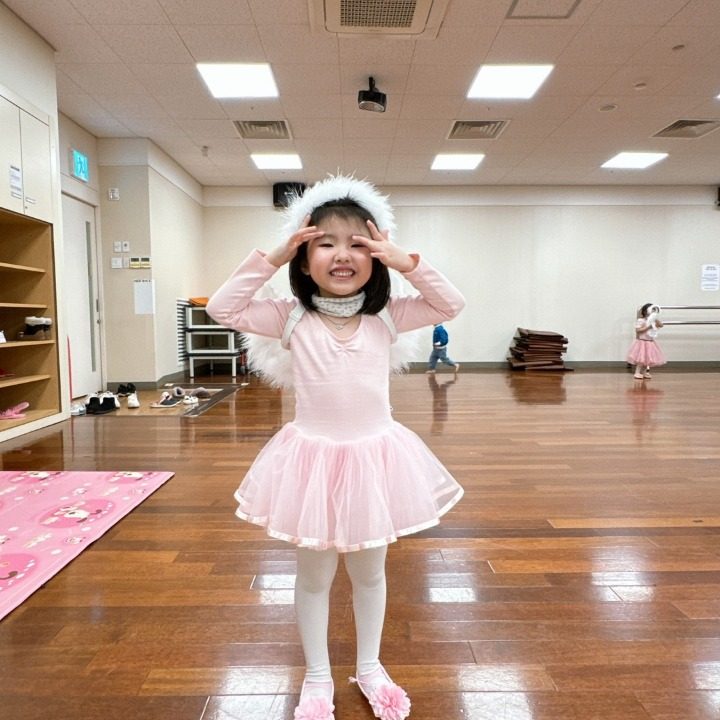 개별화물