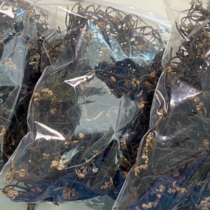 농산물