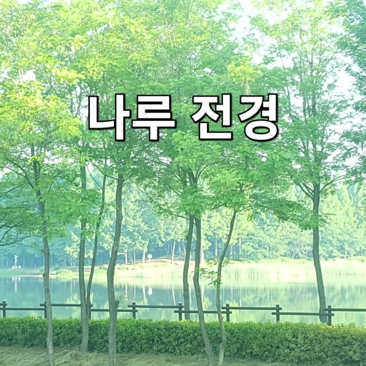 나루카페