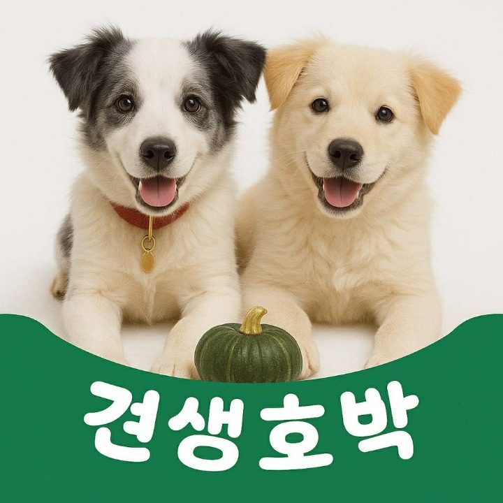 견생호박