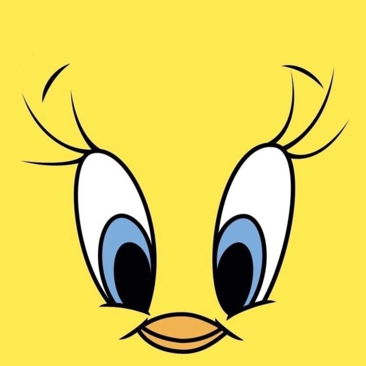 꾸꾸래쉬