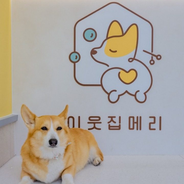 이웃집메리