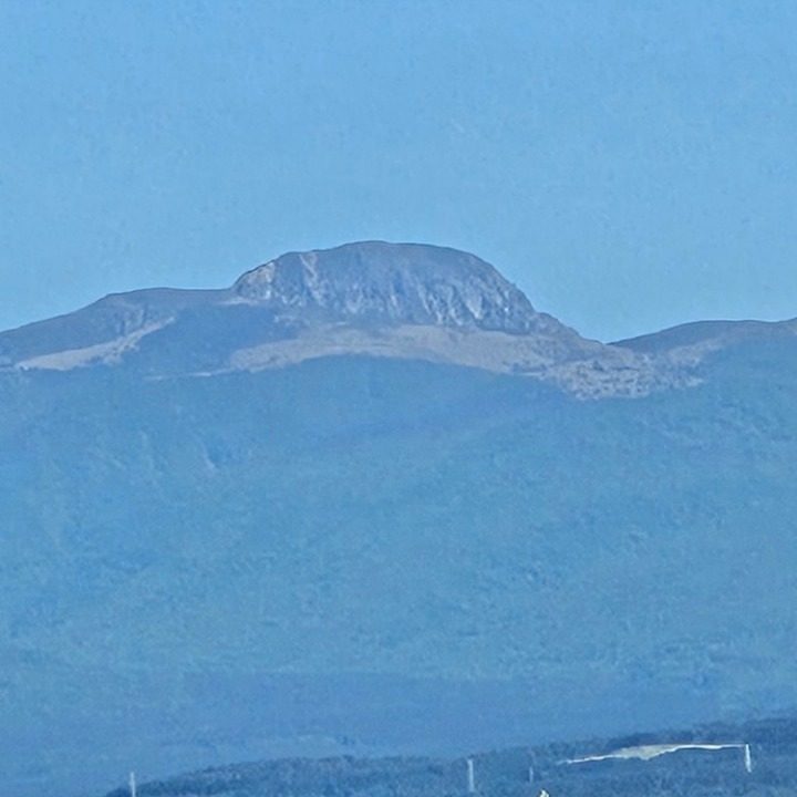 SS수산