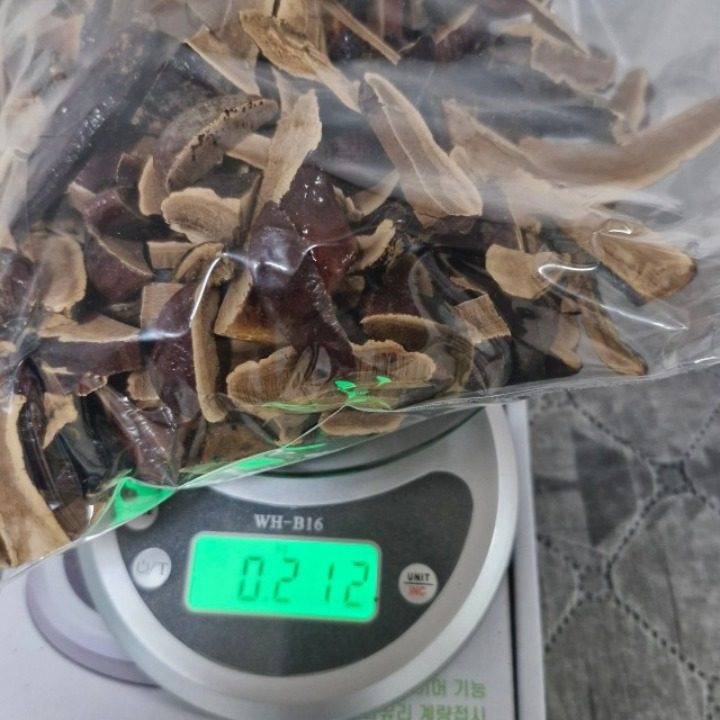 무지개25