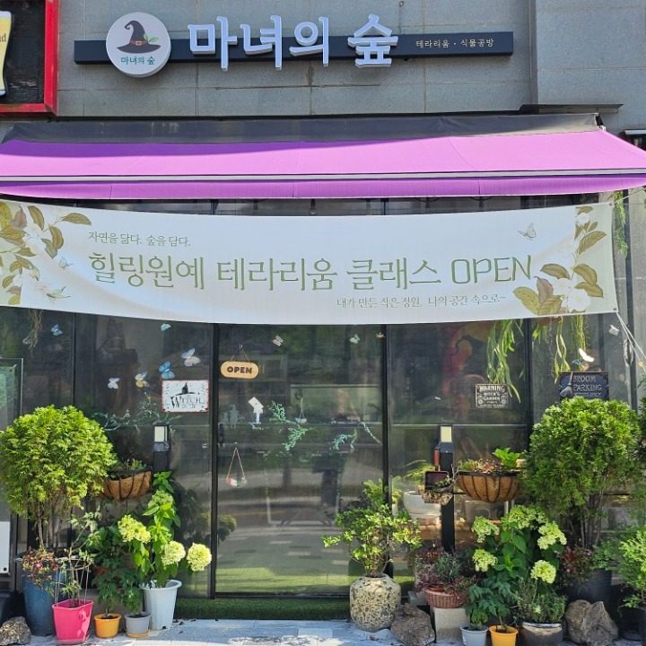 마녀의 숲