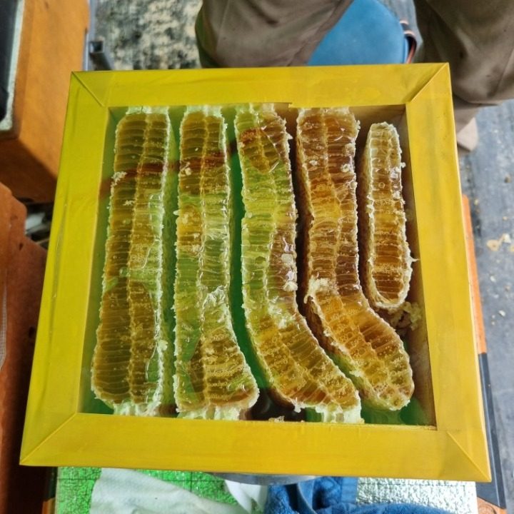 점순네 양봉