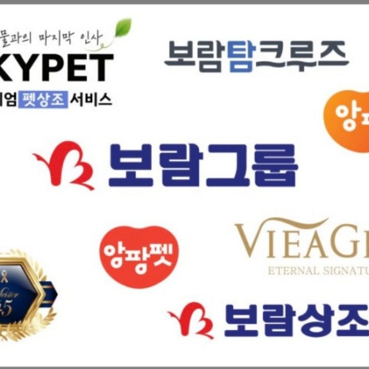 보람 애니콜