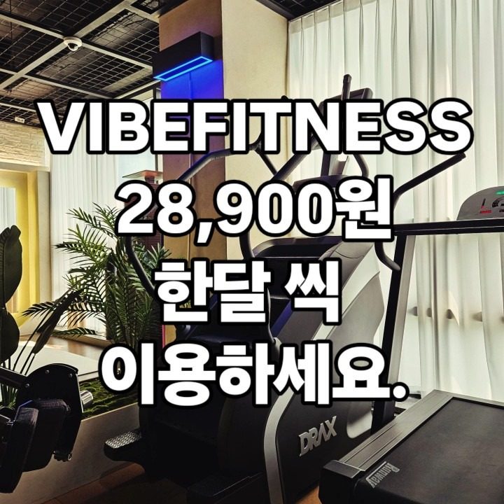 바이브피트니스