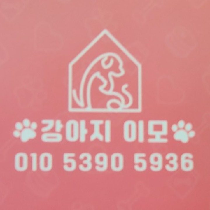 강아지 이모