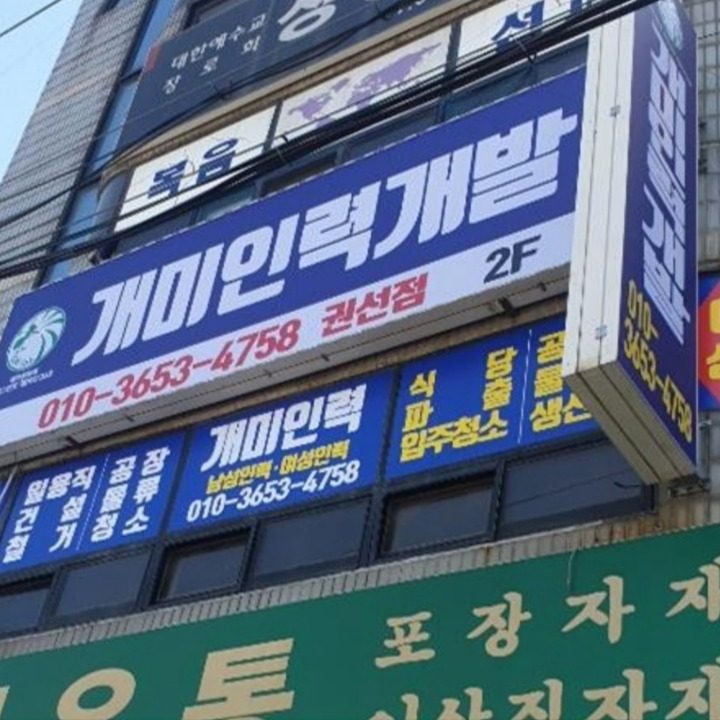 개미인력