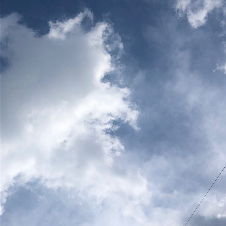 피자사주