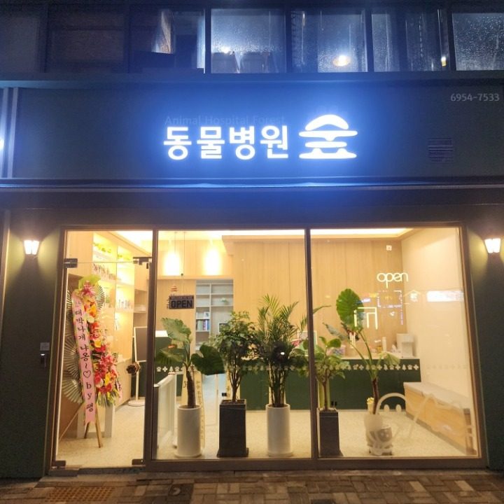 동물병원 숲