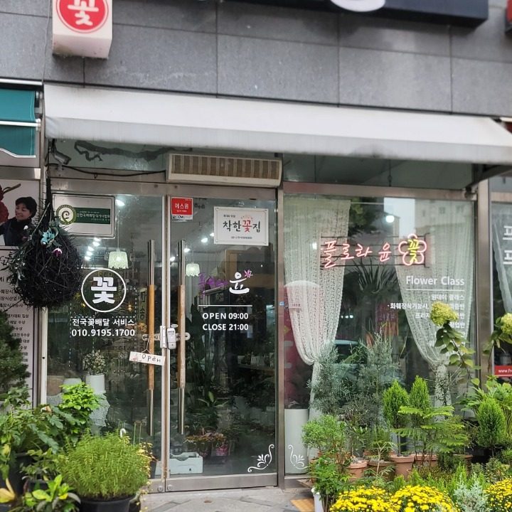 플로라윤