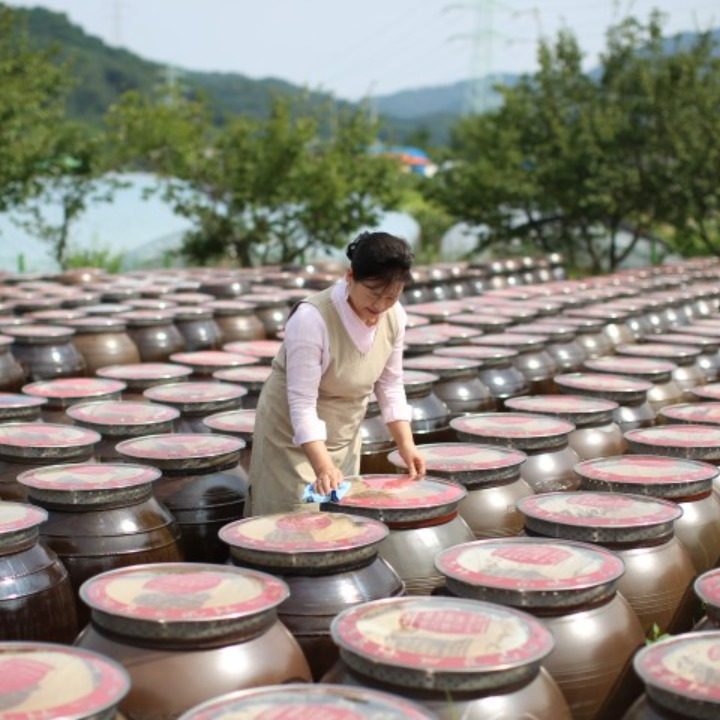 진심담은 된장찌개 진된장 가산본점