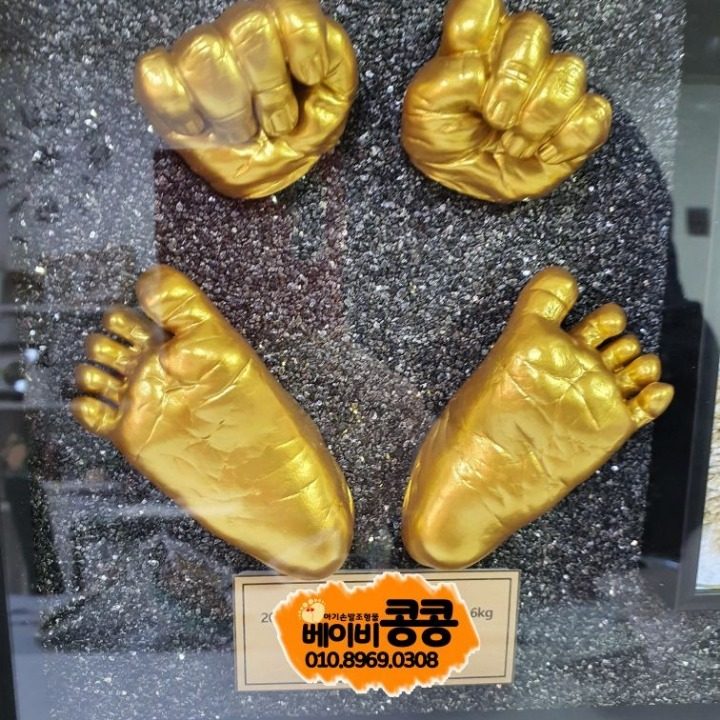 베이비콩콩