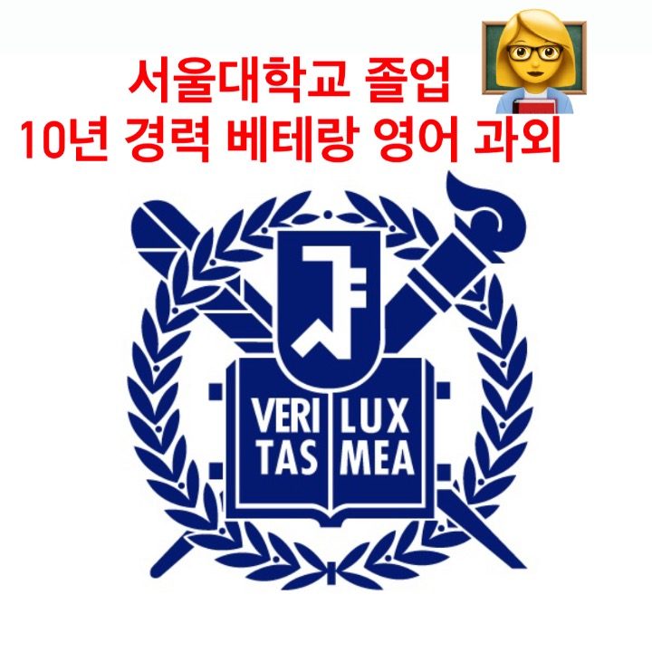 서울대 졸업 10년 베테랑 영어 과외 Sue쌤