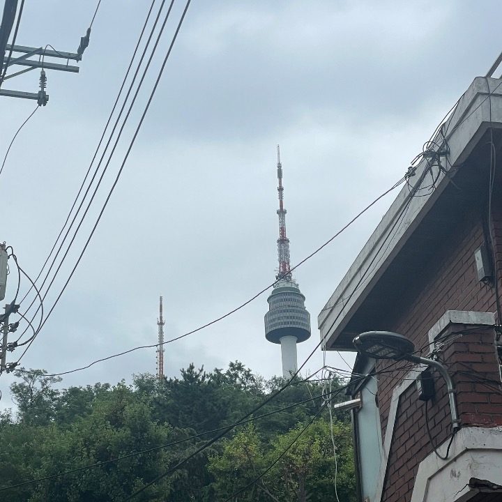 조미정