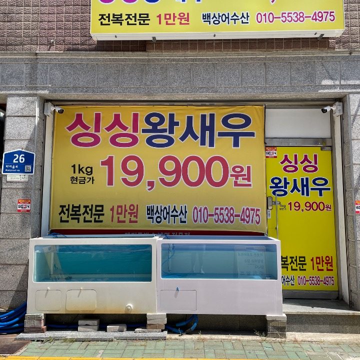 백상어수�산