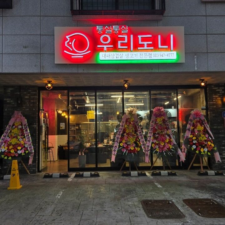 통실도니