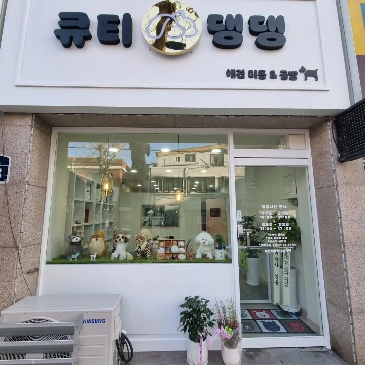 큐티댕댕
