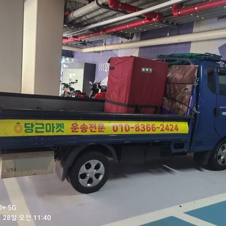 선용태