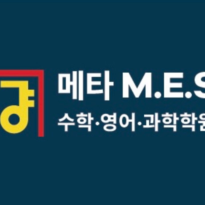 메타 M.E.S