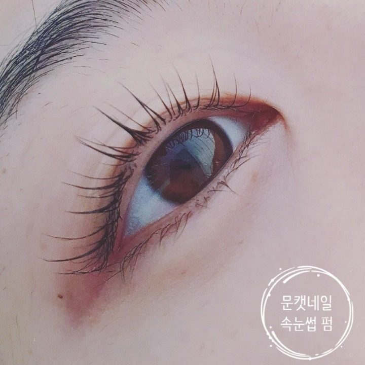 문캣네일