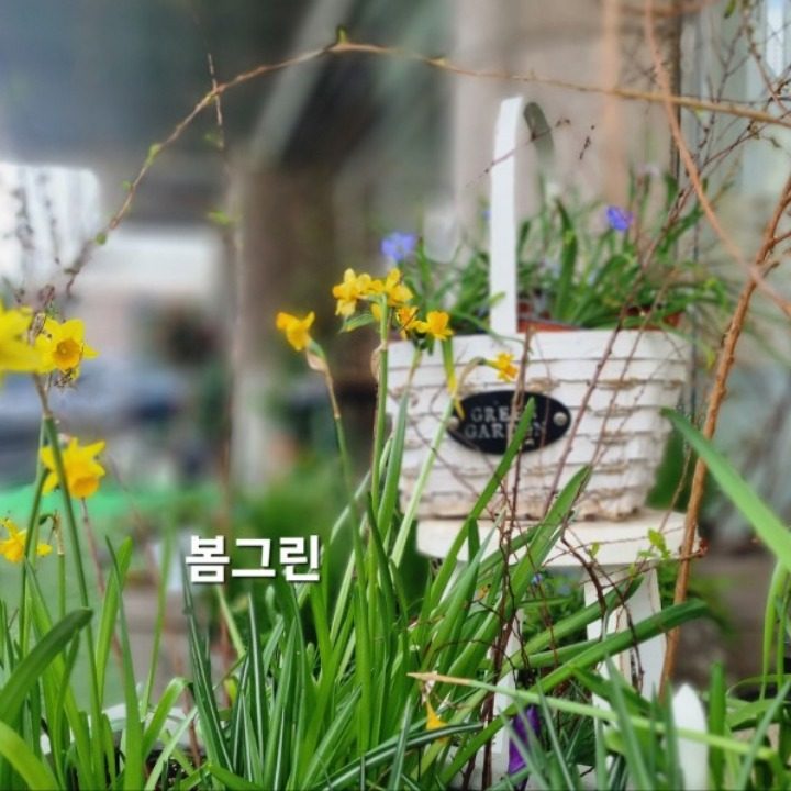 봄그린