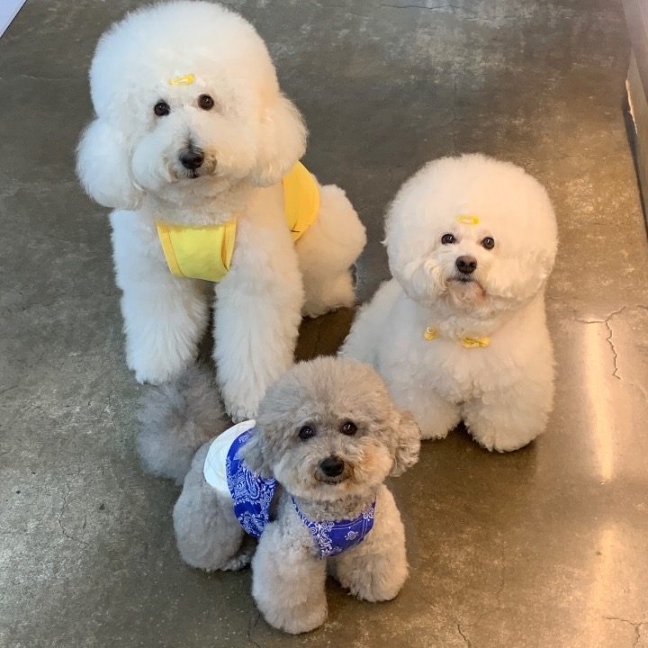 천안 꽃분이네