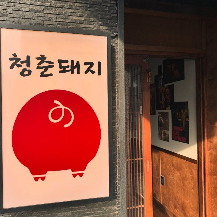 청춘돼지