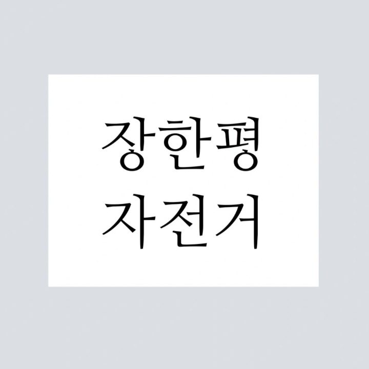 장한평자전거