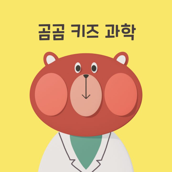 곰곰키즈과학