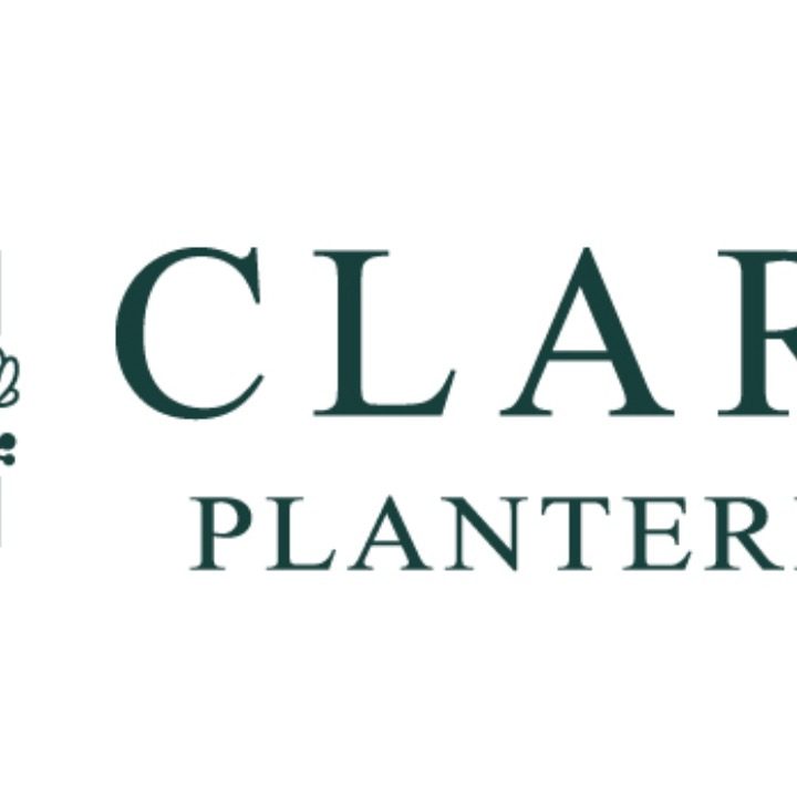 글라라 플랜테리어(Clara Planterior)