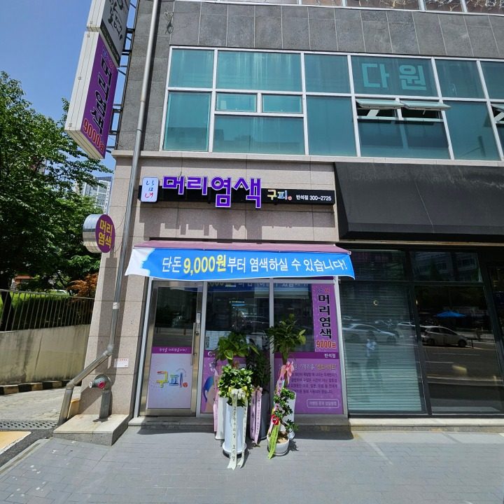 머리염색 구피샵 반석점
